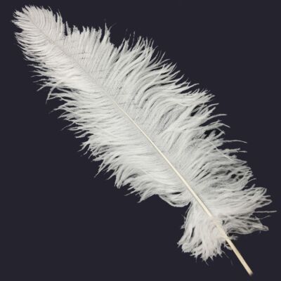 Plumas blancas para romanos (50cm y 60cm)