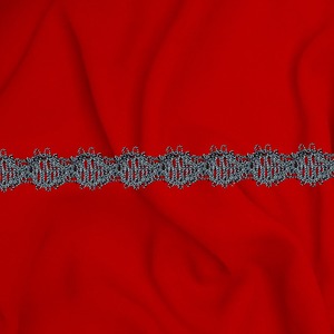 Agremán Plata Vieja (2 cm)