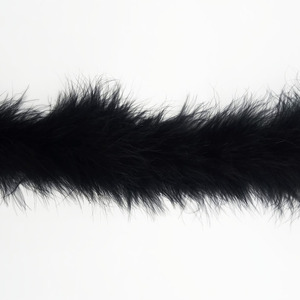 Cinta de Pluma Negra (5cm)