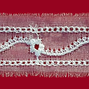 Organza Bordada (2,5 cm)