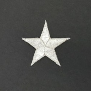 Aplique bordado estrella 5 puntas plata (4cm)