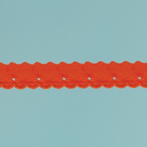 Tira bordada Naranja (2,5 cm)