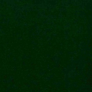 Terciopelo 100% Algodón Verde Esperanza (1,50m)