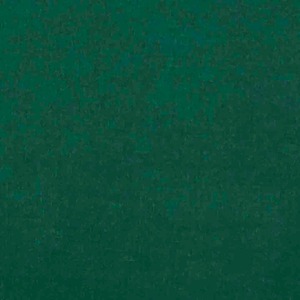 Terciopelo 100% Algodón Verde Claro (1,50m)