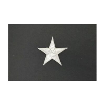 Aplique bordado termoadhesivo estrella 5 puntas plata (2.5cm)