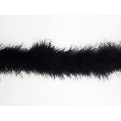 Cinta de Pluma Negra (5cm)