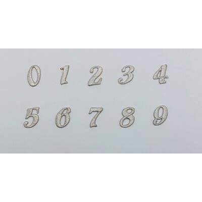 Números bordados plata (2,5-3 cm)